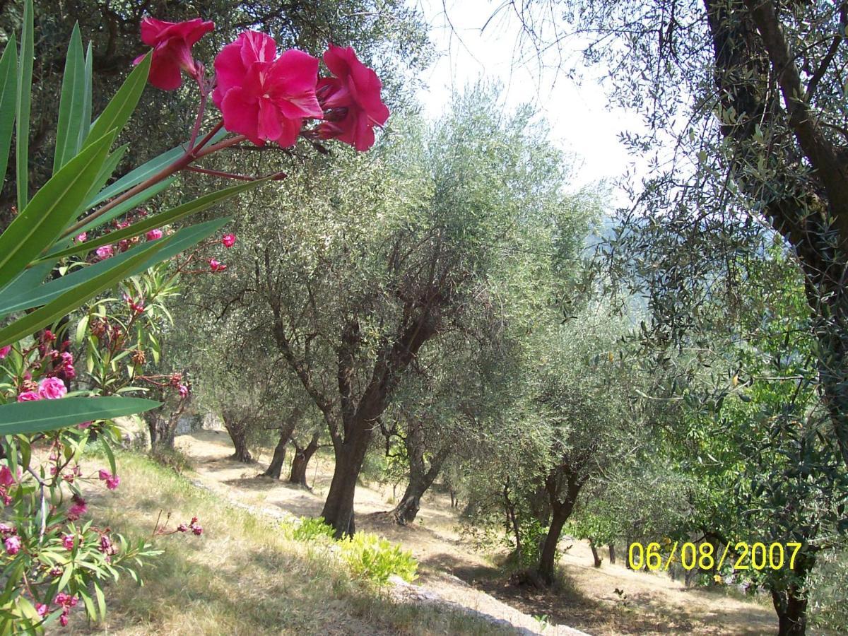 Bed and Breakfast Lou Mas Dau Paigran Saint-Blaise  Exterior foto